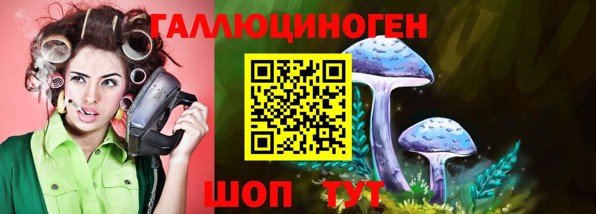 Галлюциногенные грибы прущие грибы  Вход с VPN  Асбест 